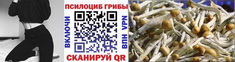 Купить где  Воскресенск  Галлюциногенные грибы MAGIC MUSHROOMS 